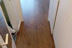 360186308_1907043393004903_4886399420852787163_n